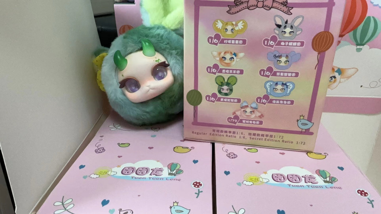 60-ANDAOLA Series Plush BOX